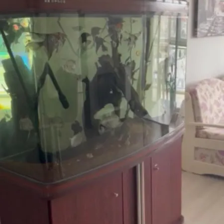 Bryan,s-1 Sp - Apartment Pomorie